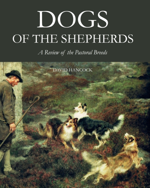 Book cover of: Dogs of the Shepherds. By: David Hancock
