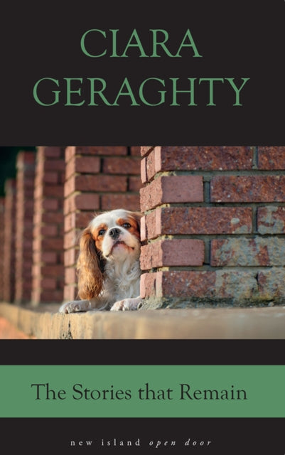 Book cover of: Stories That Remain. By: Ciara Geraghty