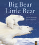 Book cover of: Big Bear Little Bear. By: David Bedford