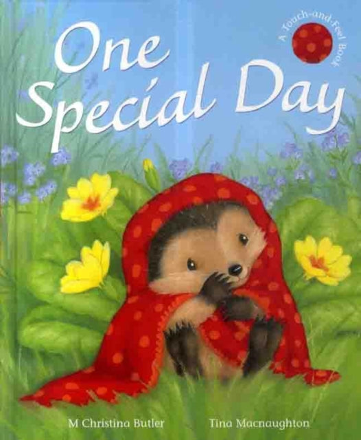 Book cover of: One Special Day
