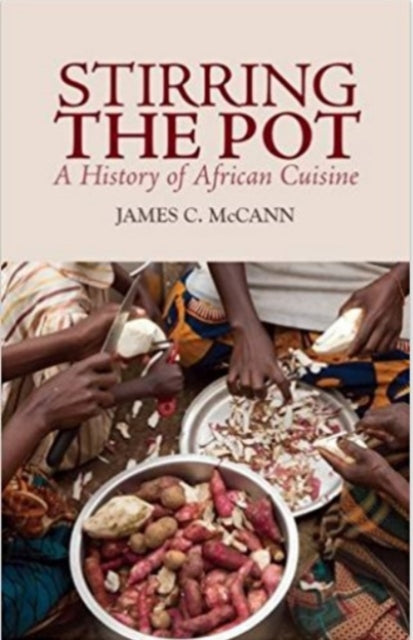 Book cover of: Stirring the Pot