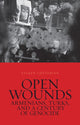 Book cover of: Open Wounds. By: Vicken Cheterian