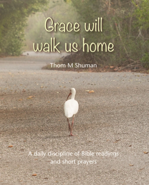 Book cover of: Grace Will Walk Us Home