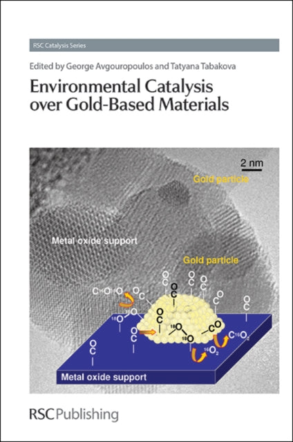 Book cover of: Environmental Catalysis over Gold-Based Materials