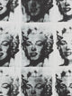 Book cover of: Andy Warhol. By: Gregor Muir
