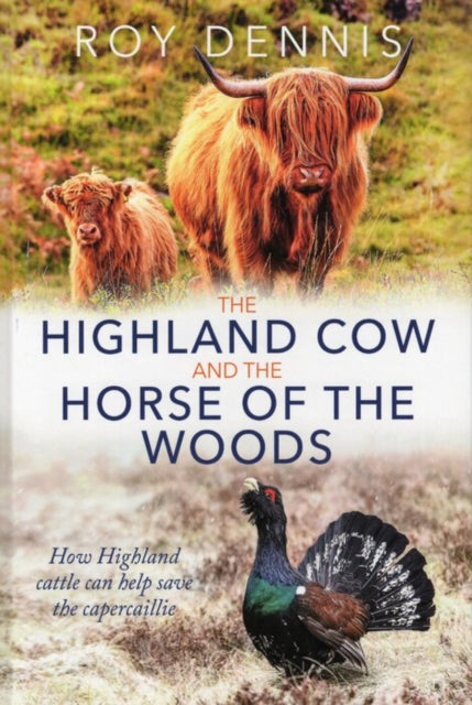 Book cover of: Highland Cow and the Horse of the Woods