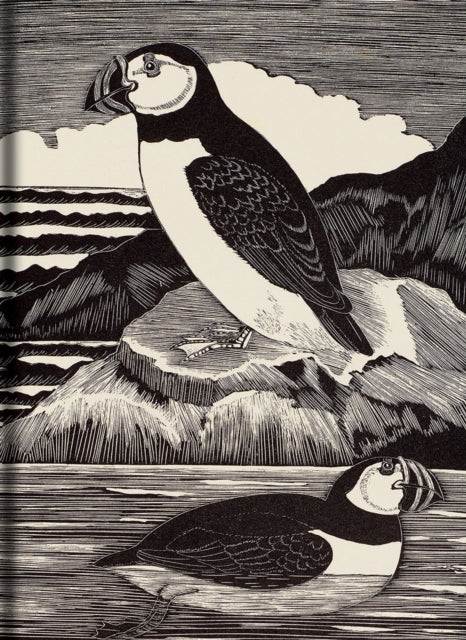 Book cover of: Birds Journal. By: Eric Fitch Daglish