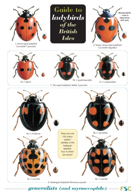 Book cover of: Guide to Ladybirds of the British Isles. By: M.E.N. Majerus, Helen Roy, Peter Brown, Remy Ware