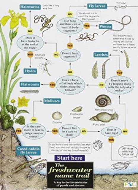 Book cover of: Freshwater name trail
