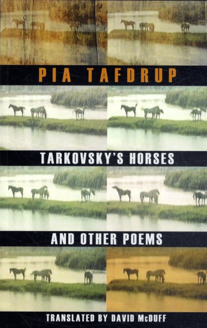 Book cover of: Tarkovsky's Horses and other poems