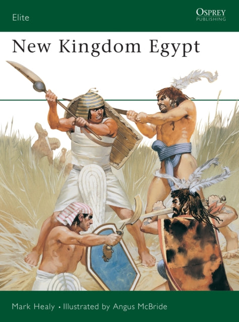 Book cover of: New Kingdom Egypt. By: Mark Healy