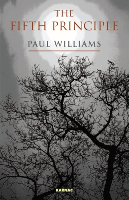 Book cover of: Fifth Principle. By: Williams, Paul Ph. D.