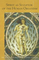 Book cover of: Spirit as Sculptor of the Human Organism. By: Rudolf Steiner