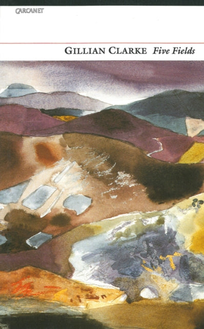Book cover of: Five Fields