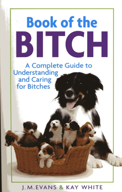 Book of the Bitch 9781860540233 J. M. Evans