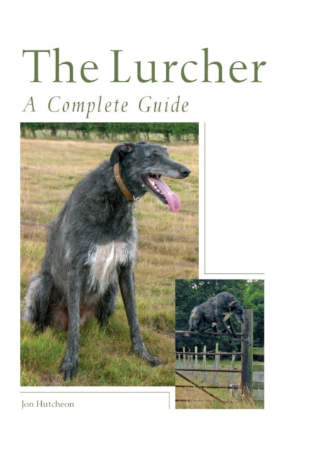 Book cover of: Lurcher. By: Jon Hutcheon