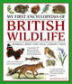 My First Encyclopedia of British Wildlife, Mammals, Birds, Fish, Bugs, Flowers, Trees 9781861478498 Richard McGinlay
