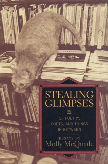 Book cover of: Stealing Glimpses