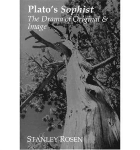 Book cover of: Plato`s Sophist. By: Stanley Rosen - undifferentiated