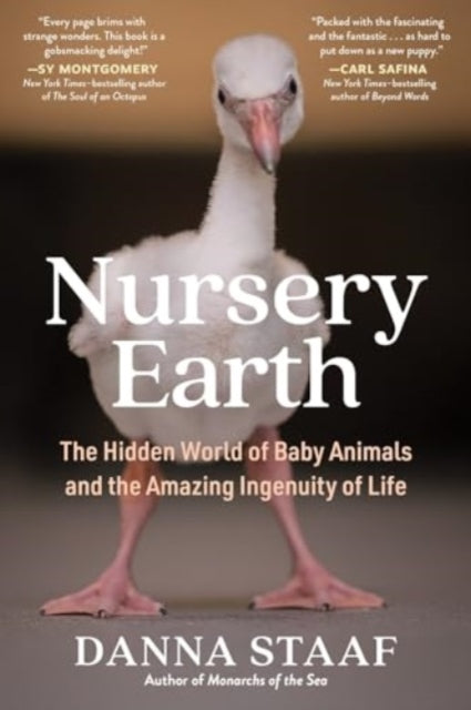 Book cover of: Nursery Earth. By: Danna Staaf