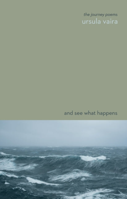 Book cover of: And See What Happens