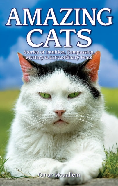 Book cover of: Amazing Cats. By: Omar Mouallem