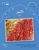 Book cover of: Small Wonders: Dates