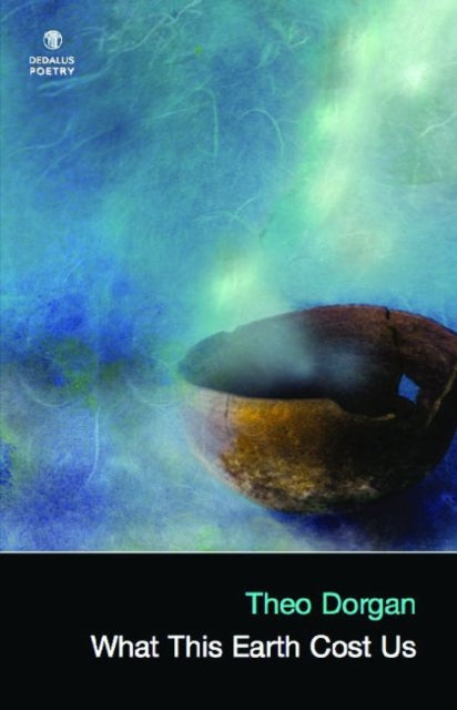 Book cover of: What This Earth Cost Us. By: Theo Dorgan