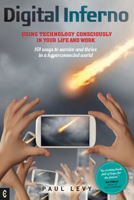Book cover of: Digital Inferno. By: Paul Levy
