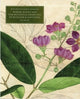 Book cover of: Robert Wight and the Botanical Drawings of Rungiah and Govindoo ( 3 volumes). By: Henry J. Noltie