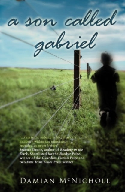 Book cover of: Son Called Gabriel. By: Damian McNicholl