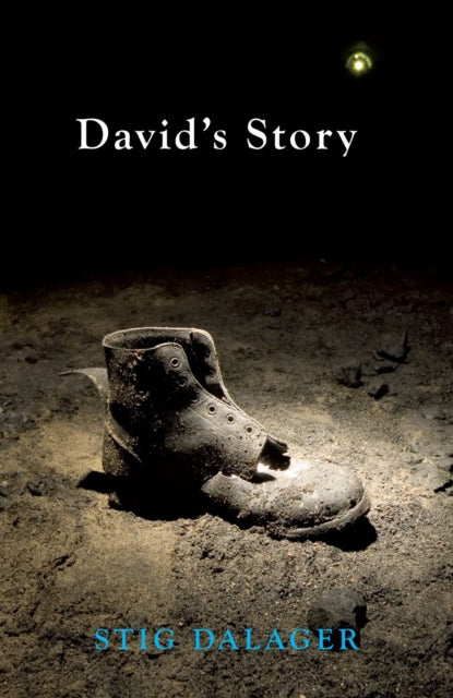 Book cover of: David's Story. By: Stig Dalager