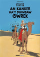 Book cover of: Tintin: An Kanker Ha'y Dhiwbaw Owrek (Cornish)