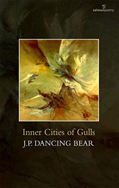 Book cover of: Inner Cities of Gulls. By: J. P. Dancing Bear