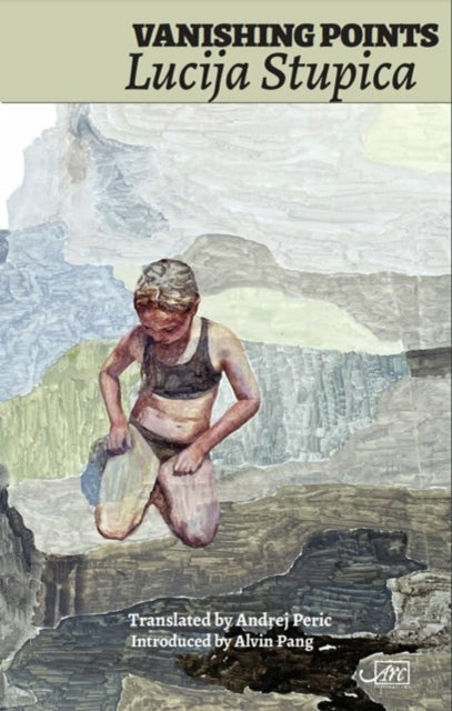 Book cover of: Vanishing Points