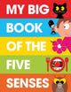 Book cover of: My Big Book of the Five Senses