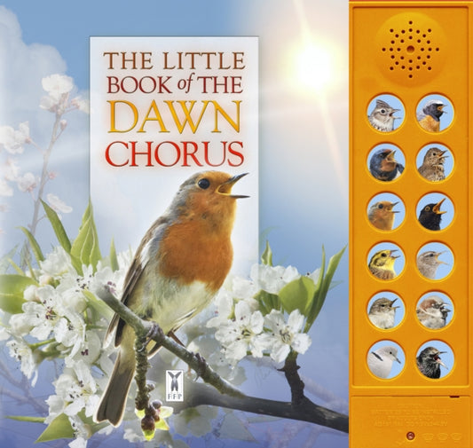 Little Book of the Dawn Chorus 9781908489333 Caz Buckingham