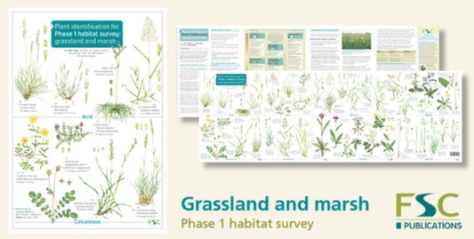 Book cover of: Plant Identification for Phase 1 Habitat Survey: Grassland and Marsh