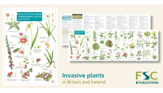 Book cover of: Guide to the non-native invasive plants of Britain and Ireland