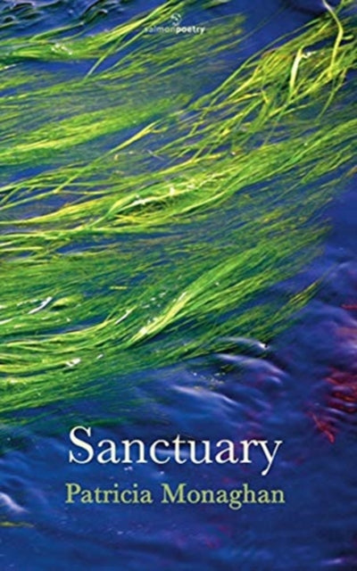 Book cover of: Sanctuary. By: Patricia Monaghan