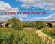 Book cover of: Look at Wolverton