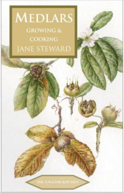 Book cover of: Medlars. By: Jane Steward