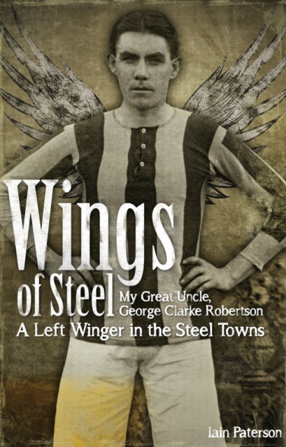 Book cover of: Wings of Steel. By: Iain Paterson