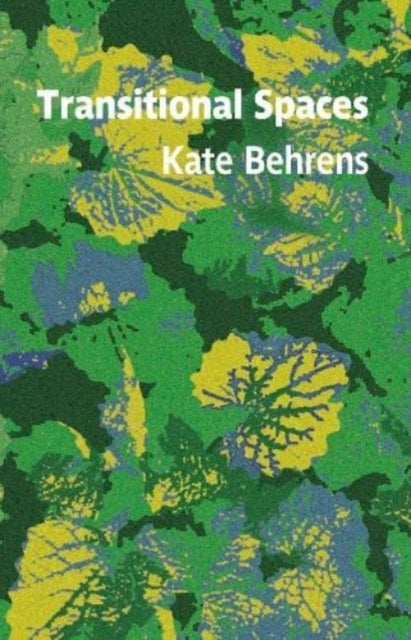 Book cover of: Transitional Spaces. By: BEHRENS