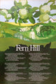 Book cover of: Fern Hill Poster
