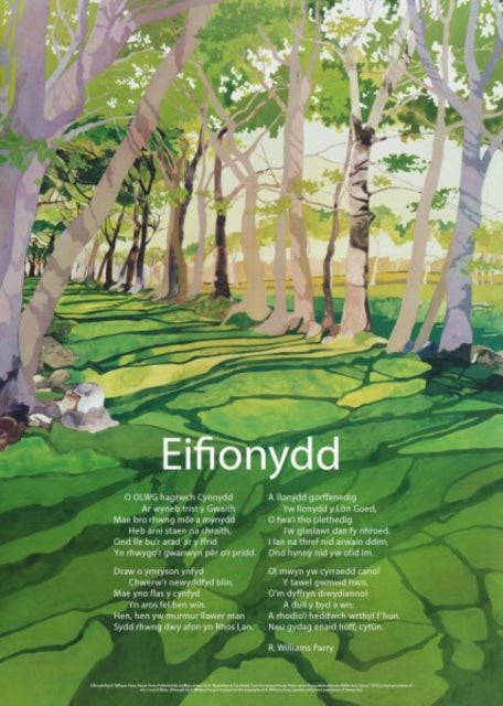 Book cover of: Eifionydd