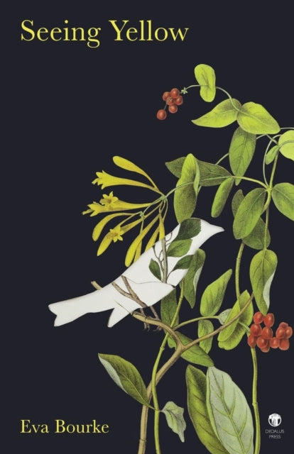 Book cover of: Seeing Yellow. By: Eva Bourke