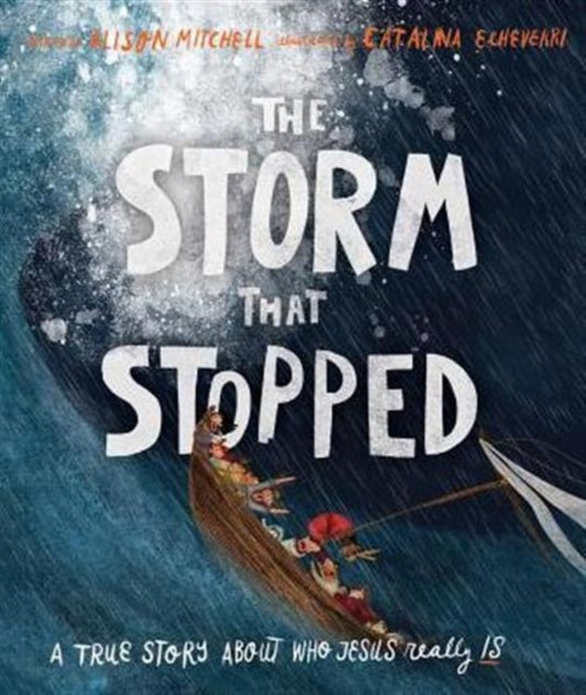 Book cover of: The Storm That Stopped Storybook