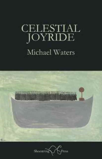 Book cover of: Celestial Joyride. By: Michael Waters