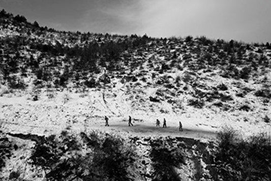 Book cover of: Non Grata. By: Åke Ericson